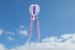 Octopus Kite 10m -Günstiger Spielzeug Geschäft 10m octo purple