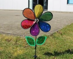 Blume 12 In. Rainbow Holographic