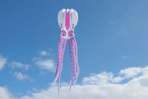 Octopus Kite 18m 4 Octopus Kite 18m – Bild 2