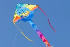 Simple Flyer 120 Dolphin Sunset