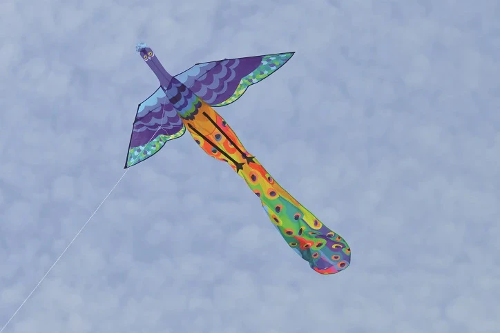 3D - Peacock Kite 3 3D - Peacock Kite