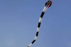 Cobra 55m -Günstiger Spielzeug Geschäft 55m cobra black white 2