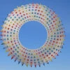 Spike Ring Kite 6m Rainbow-weiss