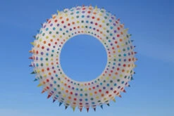 Spike Ring Kite 6m Rainbow-weiss