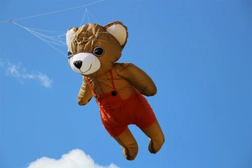 2.5m Bear 10 2.5m Bear – Bild 8