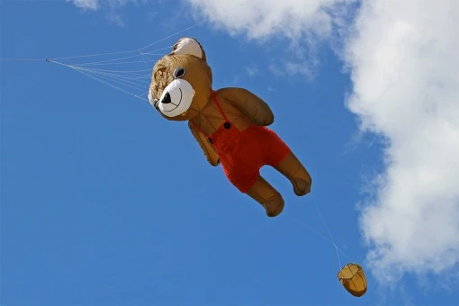 2.5m Bear 4 2.5m Bear – Bild 2