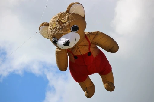 2.5m Bear 13 2.5m Bear – Bild 11