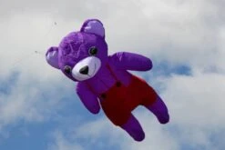 2.5m Bear 25 2.5m Bear -Günstiger Spielzeug Geschäft bear2 5 lila rot 2