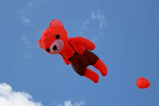 2.5m Bear 5 2.5m Bear – Bild 3