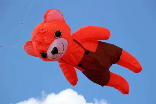 2.5m Bear 11 2.5m Bear – Bild 9