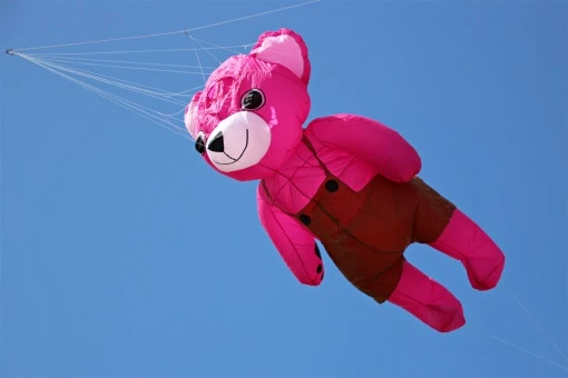 2.5m Bear 9 2.5m Bear – Bild 7