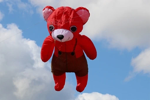 2.5m Bear 12 2.5m Bear – Bild 10