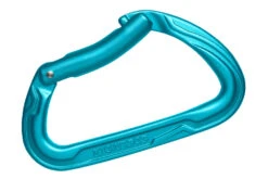 Karabiner Edelrid Pure Bent Icemint