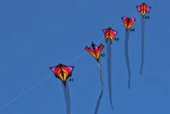 Brasington Between The Lines