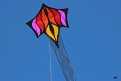 Brasington Between The Lines -Günstiger Spielzeug Geschäft between the lines 5 neu