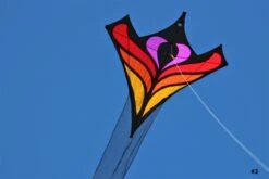 Brasington Between The Lines -Günstiger Spielzeug Geschäft betweenthelines 2