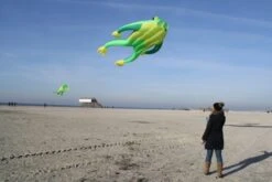 Fritz The Frog XL -Günstiger Spielzeug Geschäft bigfritz 3