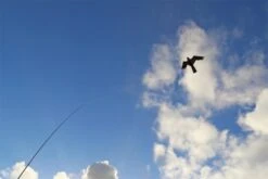 Vogelschreck Set CFK 4m -Günstiger Spielzeug Geschäft bird32