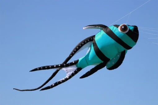 Cardinal Fish 7m 7 Cardinal Fish 7m – Bild 5