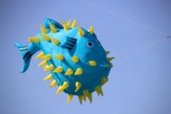 3m Ballon Fish