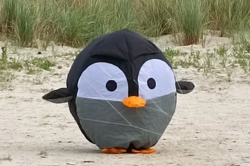 Bouncing Birdeez Penguin