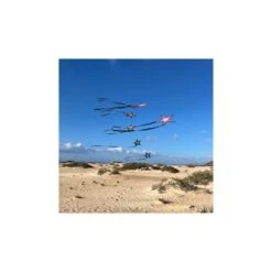 Brasington Southern Stars -Günstiger Spielzeug Geschäft brasington southern stars4