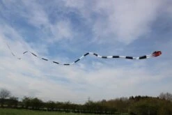 Cobra 55m -Günstiger Spielzeug Geschäft cobra sw 3