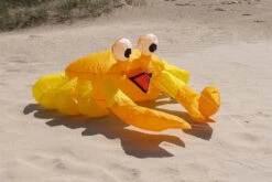 Bouncing Buddy Billy The Crab