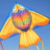 Delta Rainbow Fish 140cm