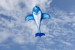 Dolphin Kite