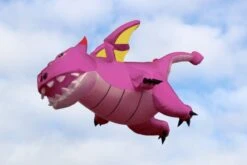 Flying Dragon 3.5m -Günstiger Spielzeug Geschäft dragon3.5 pink yellow