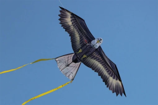 WindNSun Eagle 3 WindNSun Eagle