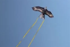 WindNSun Eagle 5 WindNSun Eagle -Günstiger Spielzeug Geschäft eagle 2