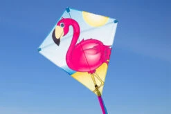 Eddy Flamingo