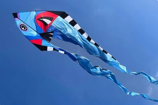 Pyro Delta Fisch XL 270cm X 860cm 4 Pyro Delta Fisch XL 270cm X 860cm – Bild 2