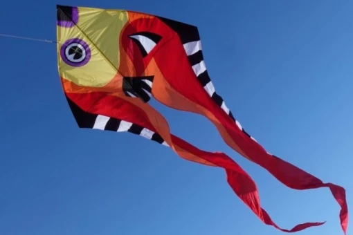 Pyro Delta Fisch XL 270cm X 860cm 3 Pyro Delta Fisch XL 270cm X 860cm