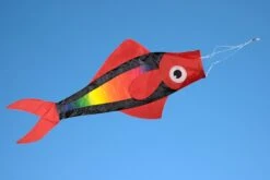 Windsack Fisch Rainbow
