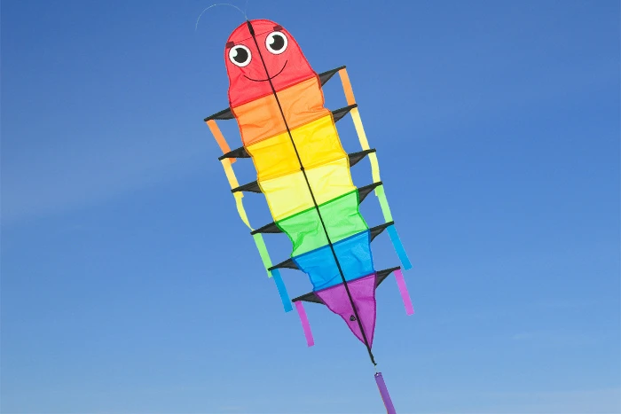 Flapping Willie Worm 3 Flapping Willie Worm