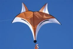 Fox Kite