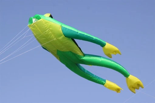 Fritz The Frog 3 Fritz The Frog