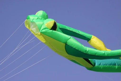 Fritz The Frog 4 Fritz The Frog – Bild 2