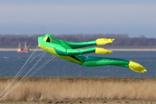 Fritz The Frog 5 Fritz The Frog – Bild 3