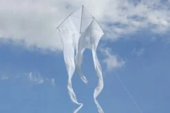 F-Tail Custom "pyro"