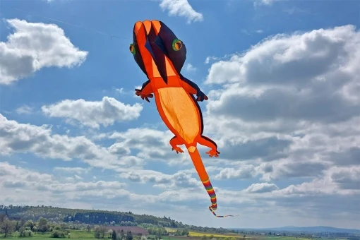 Lizard Gecko Kite 12m 3 Lizard Gecko Kite 12m