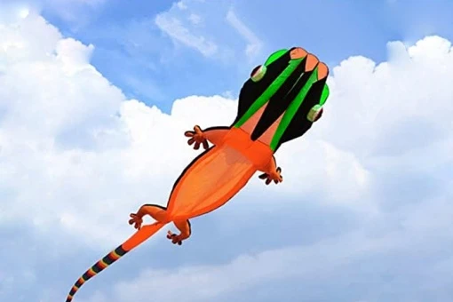 Lizard Gecko Kite 12m 5 Lizard Gecko Kite 12m – Bild 3