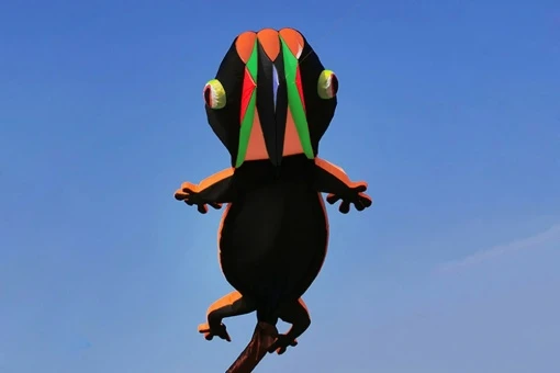 Lizard Gecko Kite 12m 4 Lizard Gecko Kite 12m – Bild 2