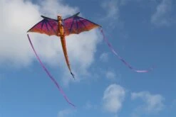 Giant Dragon -Günstiger Spielzeug Geschäft giantdragon 5