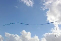 Gradient Tail -Günstiger Spielzeug Geschäft gradient tail blue1