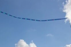 Gradient Tail -Günstiger Spielzeug Geschäft gradient tail blue2