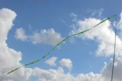 Gradient Tail -Günstiger Spielzeug Geschäft gradient tail green1